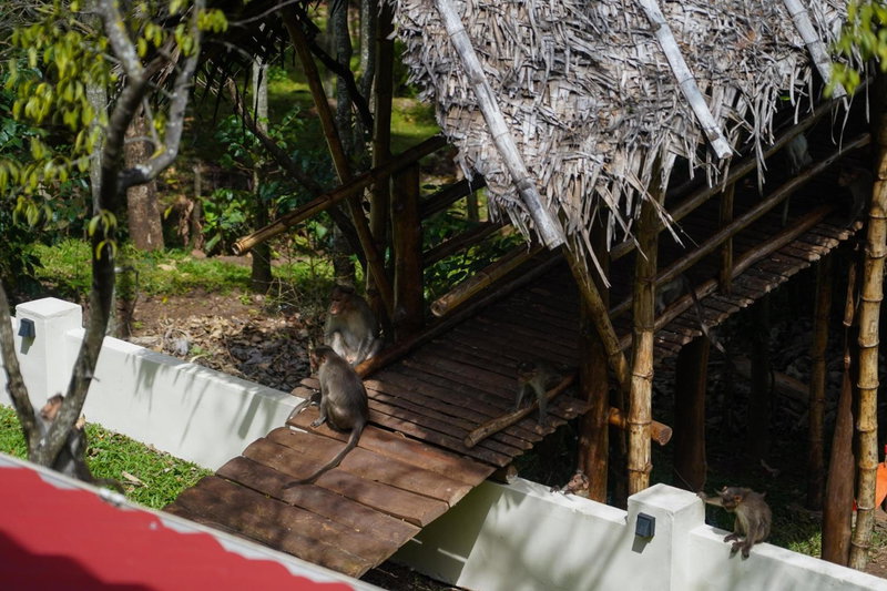 VanaJyotsna Forest Home, Maraiyūr, India