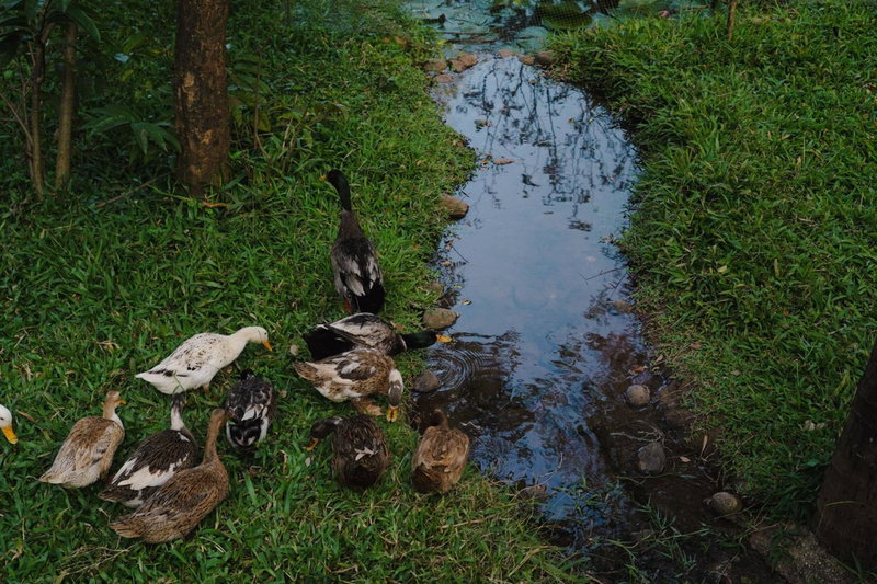 VanaJyotsna Forest Home, Maraiyūr, India