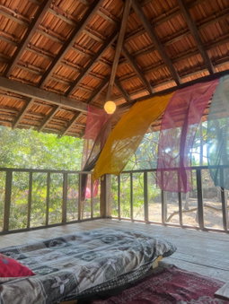 The Wild Flower!, Anjuna, India