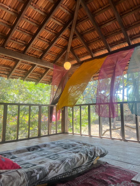 The Wild Flower!, Anjuna, India