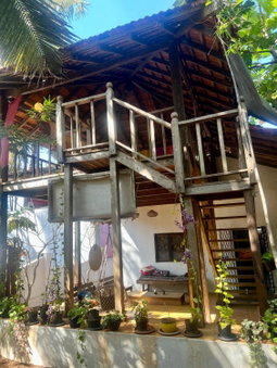 The Wild Flower!, Anjuna, India
