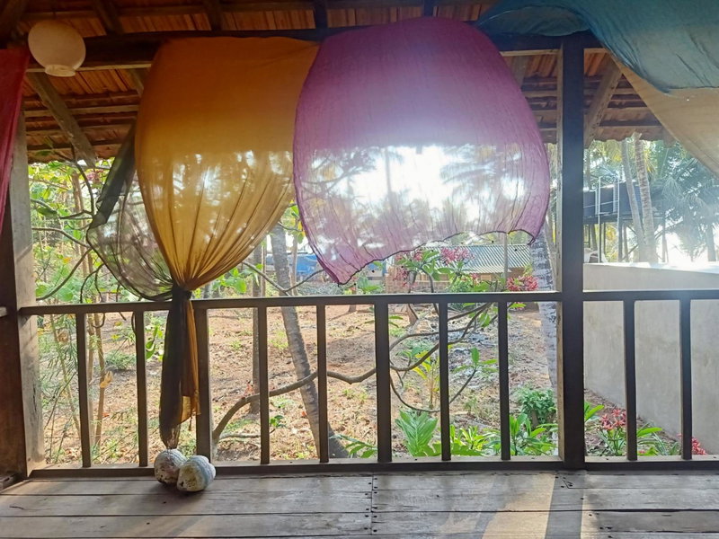 The Wild Flower!, Anjuna, India