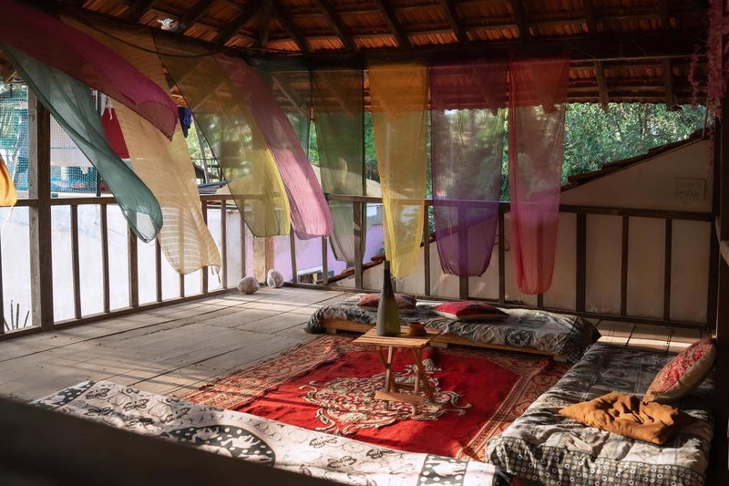 The Wild Flower!, Anjuna, India