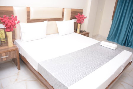 Hotel Golden Oasis - 5 Minute Walk from New Delhi Railway Station, New Delhi, India