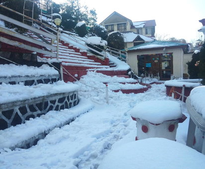 Hotel Victoriya Palace,Mcleod Ganj, McLeod Ganj, India