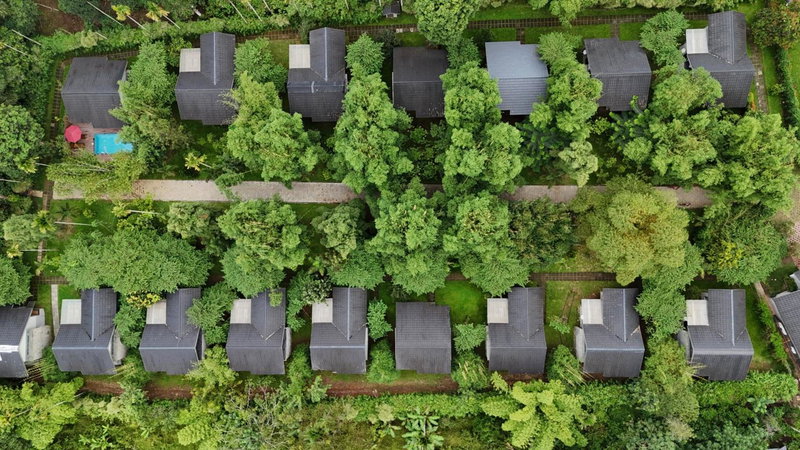 Coffee Greens Resort, Wayanad, India