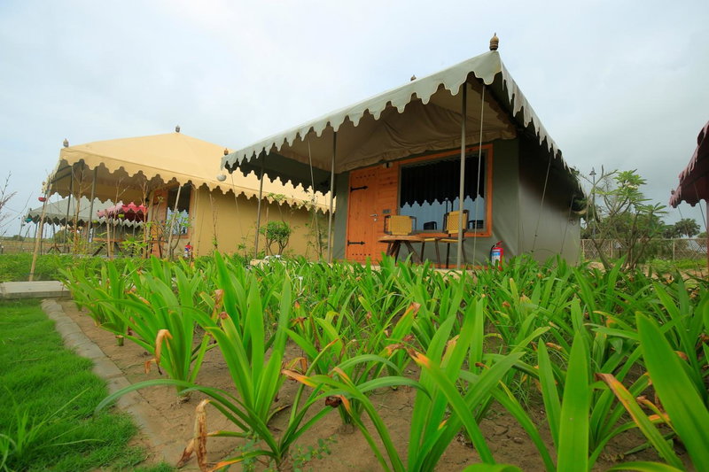 The Fern Seaside Luxurious Tent Resort Diu, Diu, India