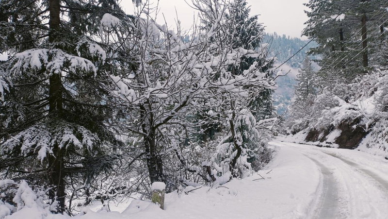 Baan by Snow City Farm, Manāli, India