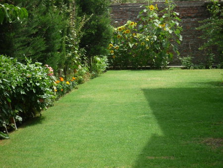 Snow Leopard Lodge, Srinagar, India