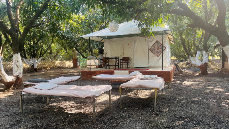 Brook Ville, Sasan Gir, India