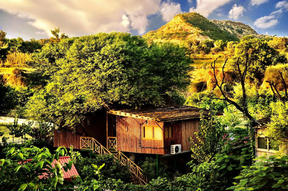 The Tree House Resort, India