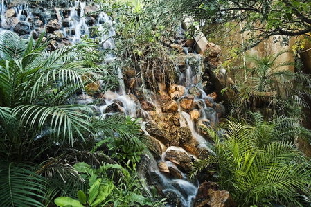 The Tree House Resort, Amer, India