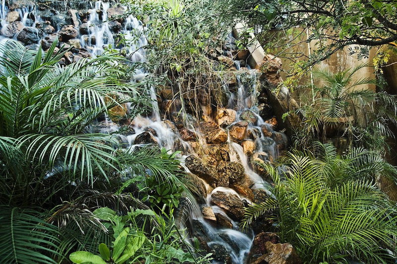 The Tree House Resort, Amer, India