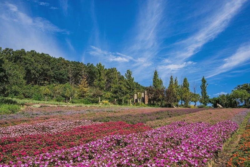 Herb Village, Yeoncheon, South Korea