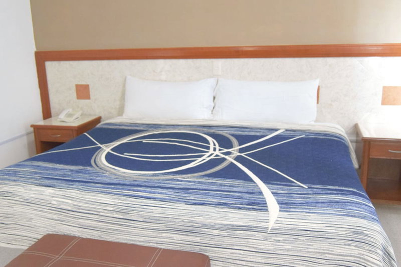 Hotel Niza Palace, León, Mexico