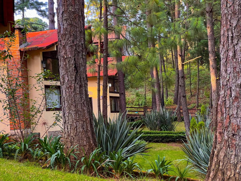 Cabañas Las Morenas Mazamitla, Mazamitla, Mexico