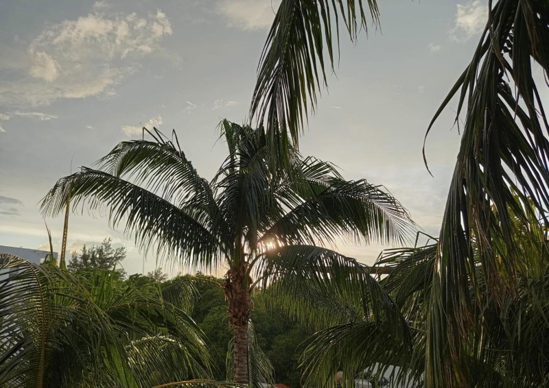 Casa aloha-Isla Holbox, Holbox Island, Mexico