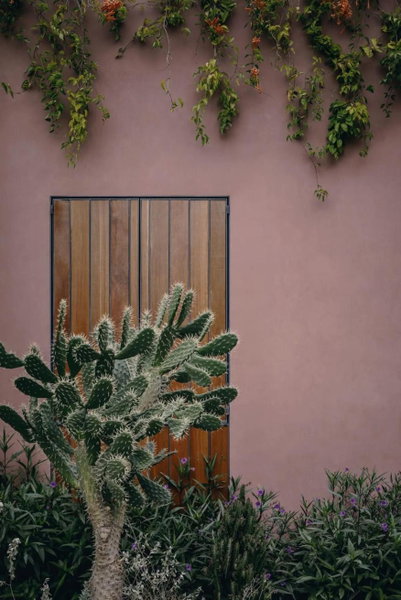 Quinta Amores alojamiento, San Miguel de Allende, Mexico