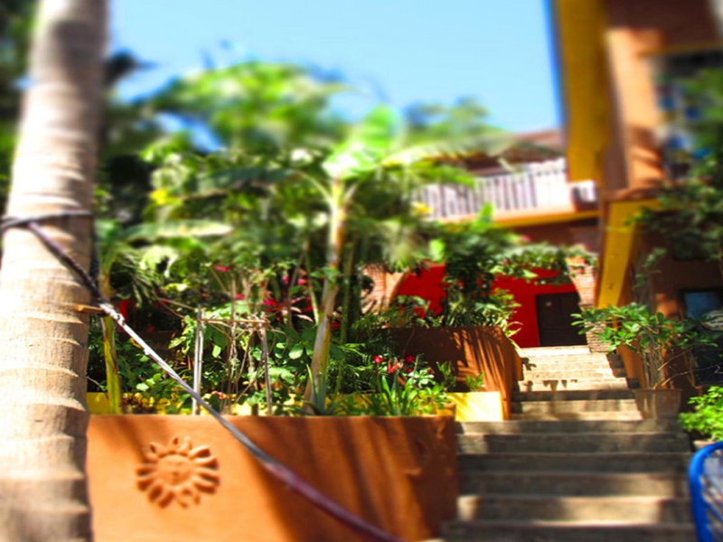Posada Paloma, San Agustinillo, Mexico