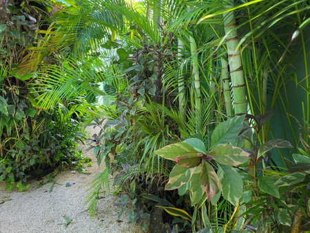 The Secret Garden Tulum, Tulum, Mexico