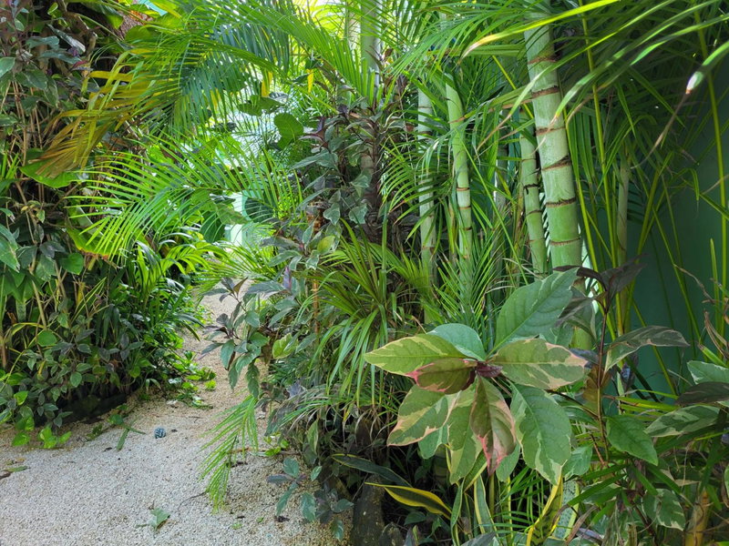 The Secret Garden Tulum, Tulum, Mexico