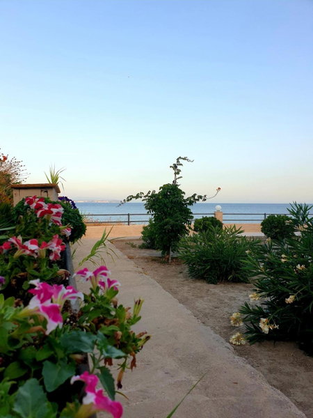 Platsa Apartments, Megas Limnionas, Greece