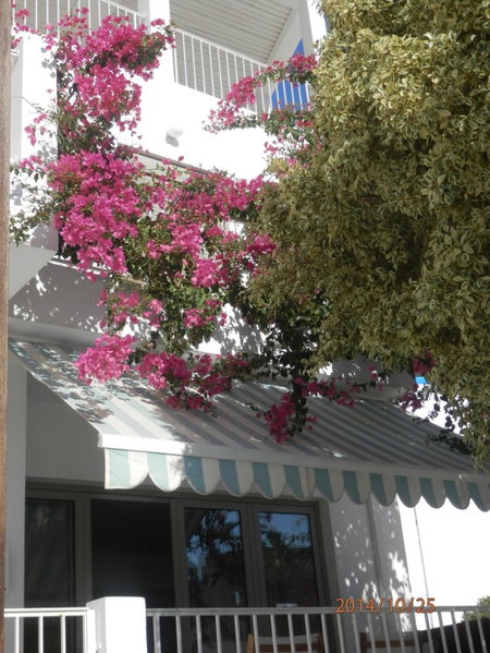 Glaros Hotel Apartment, Agia Galini, Greece