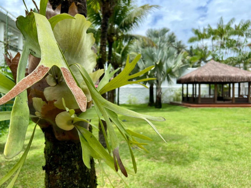 Hotel Casa Paradiso Guarujá, Guarujá, Brazil