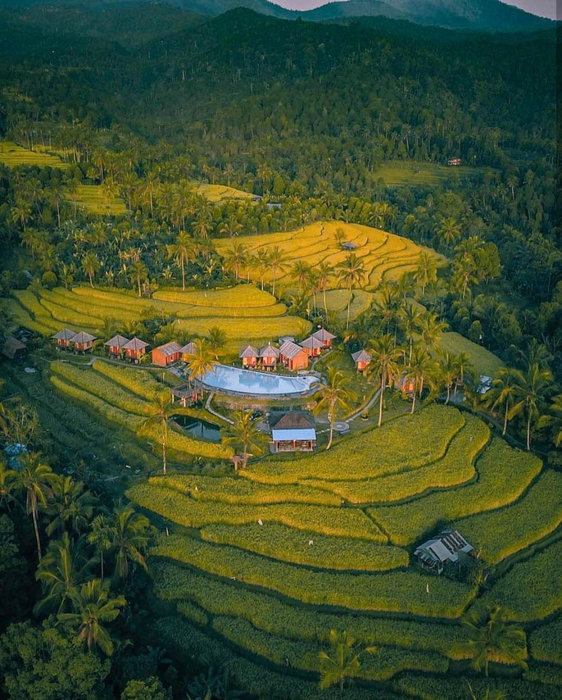 Puri Sunny Camp, Munduk, Indonesia