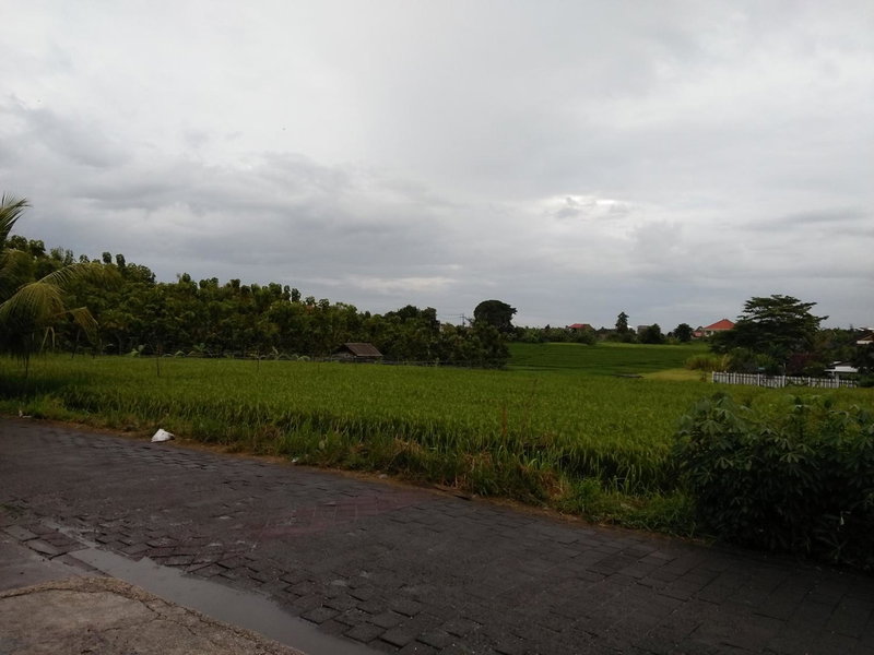 The Wina Guest House 2, Canggu, Indonesia