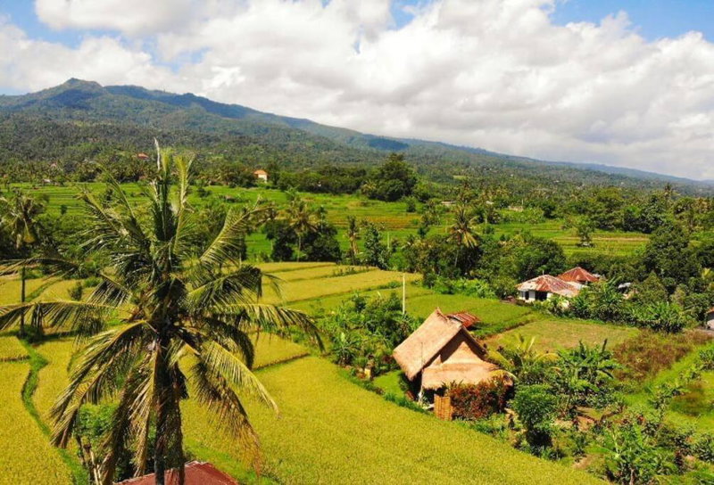 Cute Eco Cottage Near 7 Waterfalls, Singaraja, Indonesia