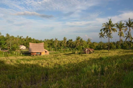 Cute Eco Cottage Near 7 Waterfalls, Singaraja, Indonesia