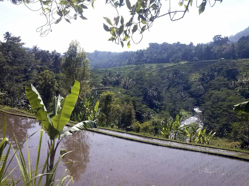 Lila Stana - Sidemen Homestay, Sidemen, Indonesia
