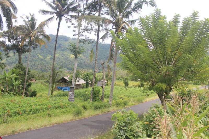 Lila Stana - Sidemen Homestay, Sidemen, Indonesia