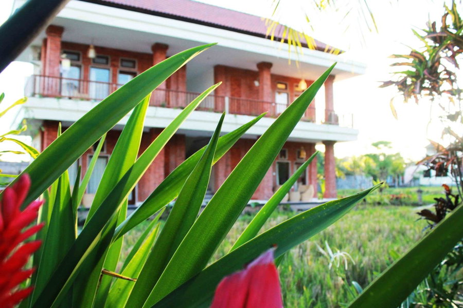 Maple House, Ubud, Indonesia