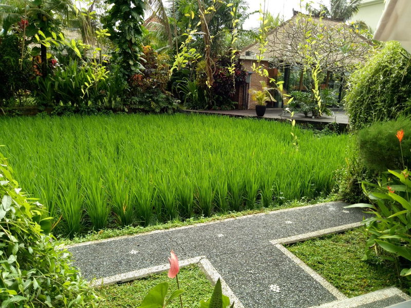 Maple House, Ubud, Indonesia
