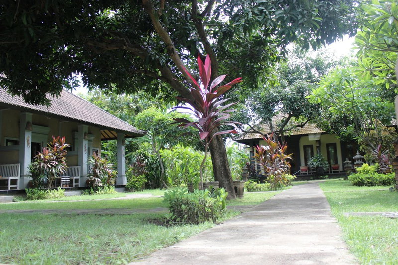 Bali Gecko Homestay, Pemuteran, Indonesia