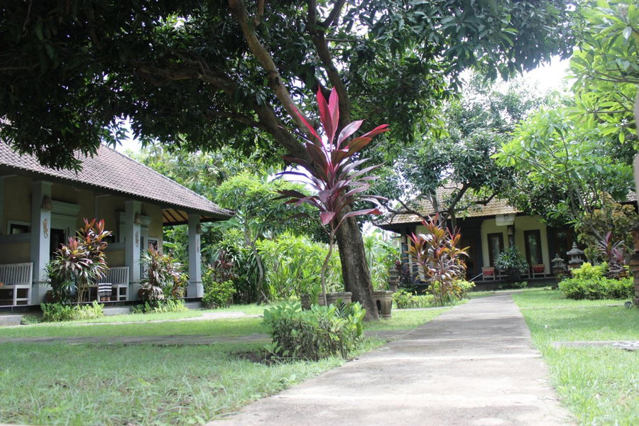 Bali Gecko Homestay, Pemuteran, Indonesia