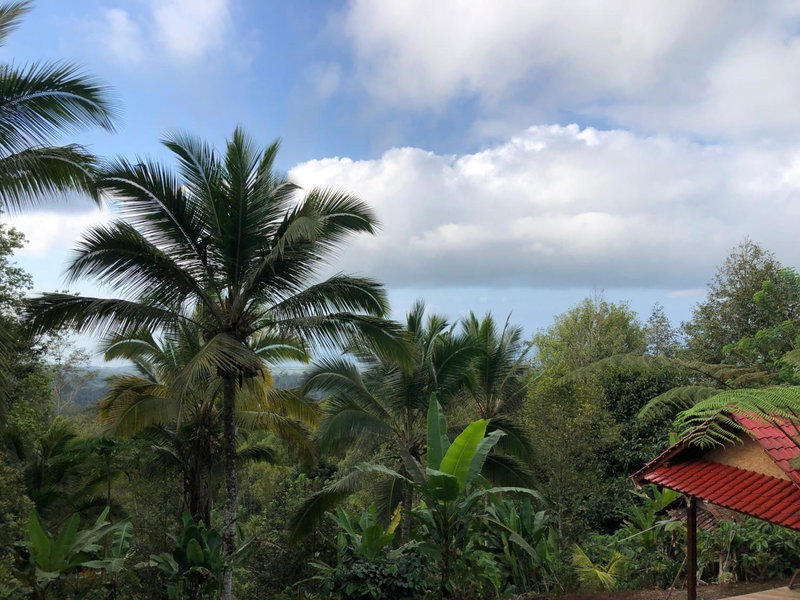 Sedana Yoga Resort, Jembrana, Indonesia
