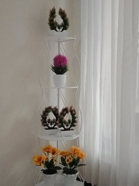 Nazifa Homestay, Batu, Indonesia
