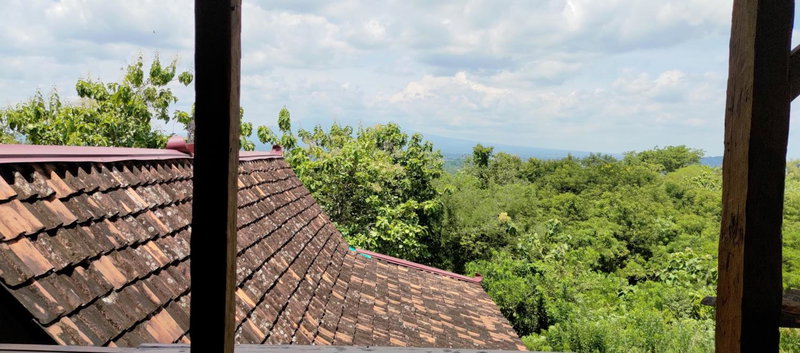 Omah Singo Stay & Resto Yogyakarta, Bantul, Indonesia