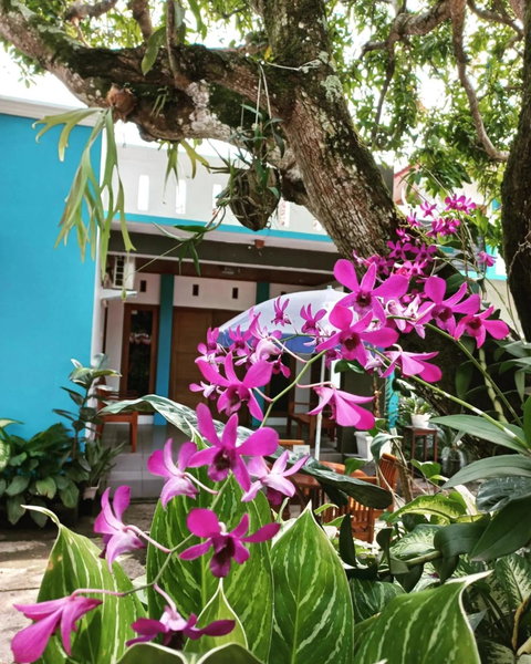 Nusawiru Guest House, Pangandaran, Indonesia