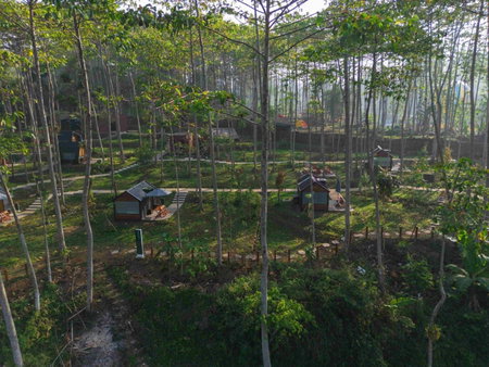 Bobocabin The Tavia, Puncak, Cipayung, Indonesia