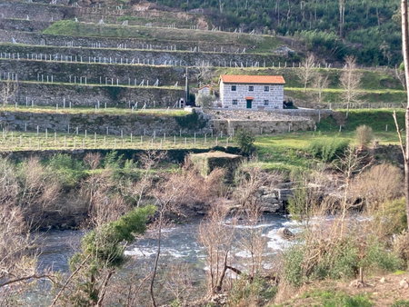 Quinta de Varzielas - Agroturismo, Castelo de Paiva, Portugal