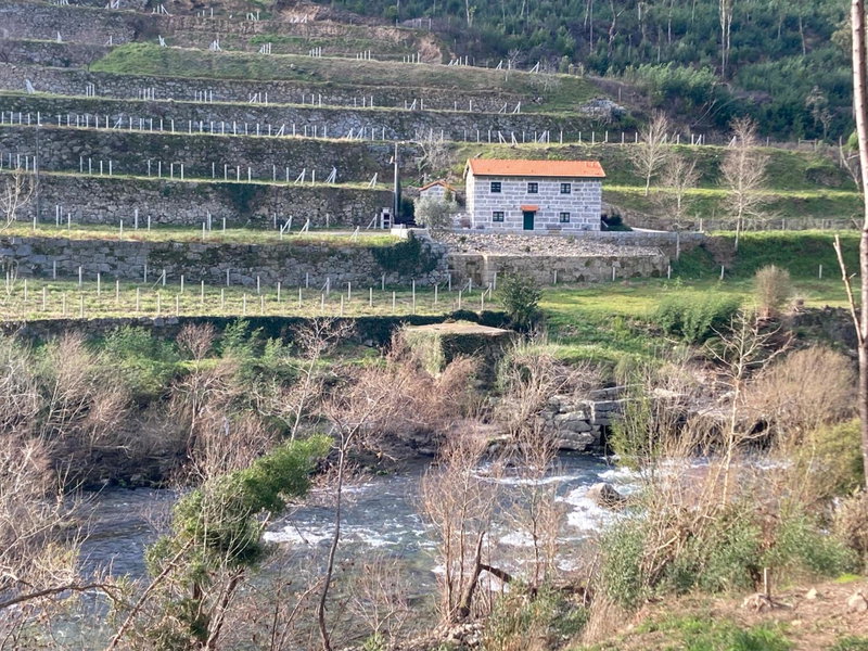 Quinta de Varzielas - Agroturismo, Castelo de Paiva, Portugal