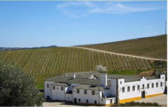 House da Didy, São João da Pesqueira, Portugal