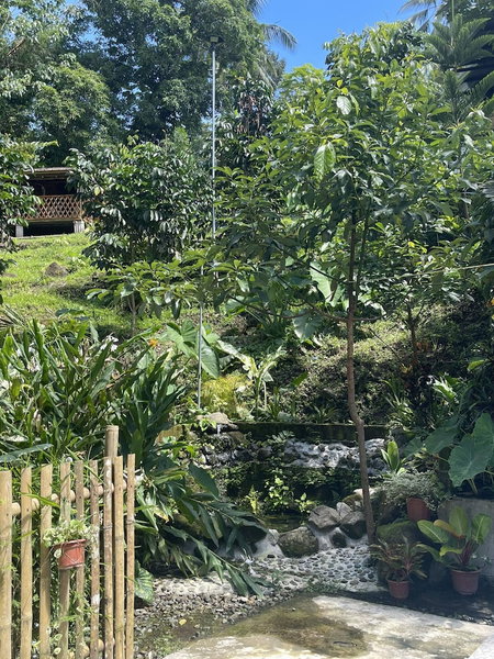 The Twin Studio Cottages, Murcia, Philippines