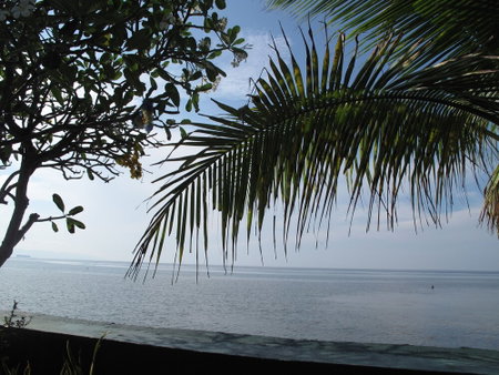 Bamboo Paradise Beach Resort, Argao, Philippines