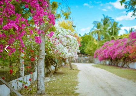 Casablanca by the sea, Olango Island, Philippines