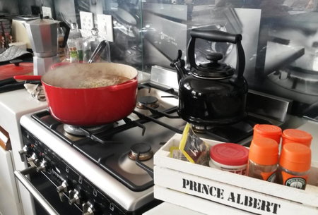 Nieuwehuyz, Prince Albert, South Africa